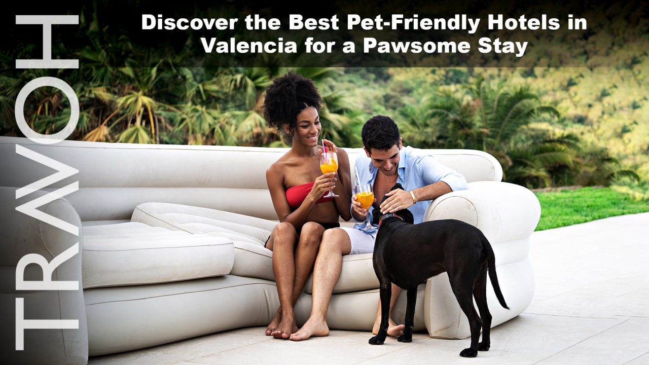 Discover the Best Pet-Friendly Hotels in Valencia for a Pawsome Stay