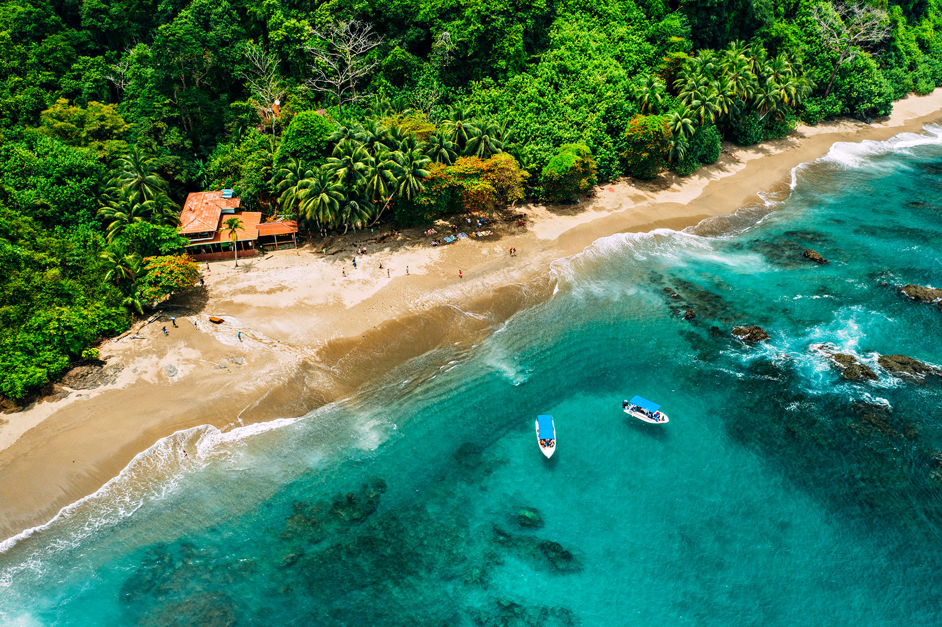 Tropical Isla del Caño with Lush Jungle and Turquoise Sea in Costa Rica