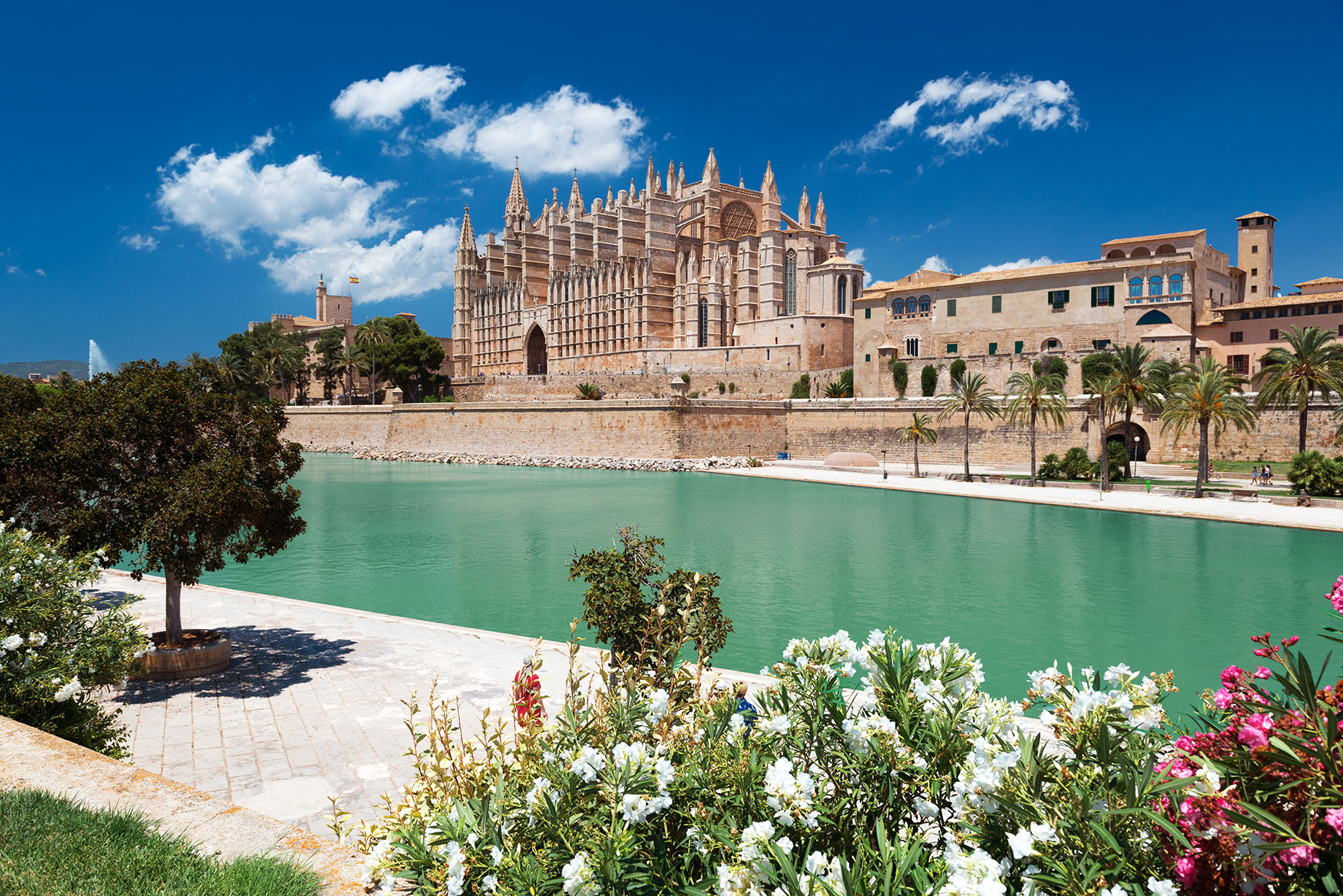 Cathedral La Seu and Parc de la Mar in Palma de Mallorca, Balearic Islands, Spain
