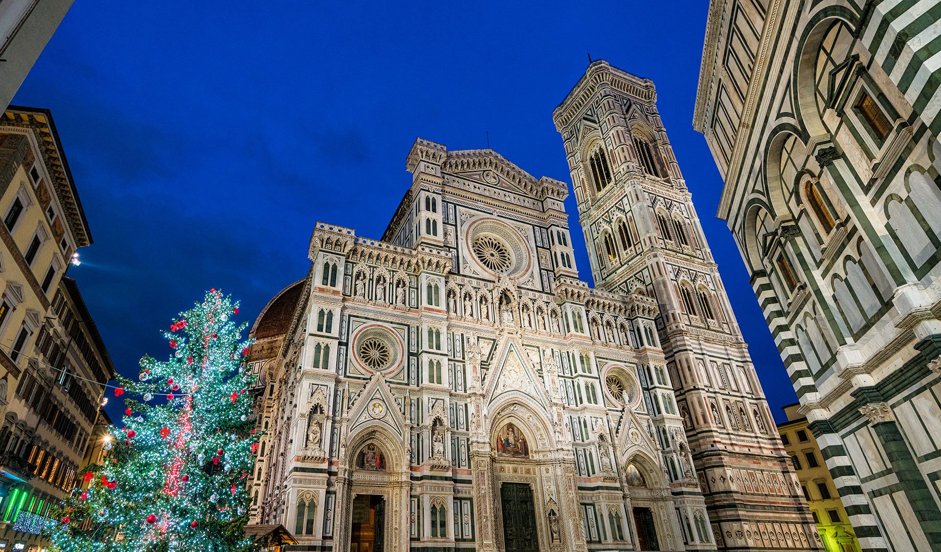 Christmas Tree at the Cathedral of Santa Maria del Fiore in Piazza del Duomo, Florence, Tuscany, Italy