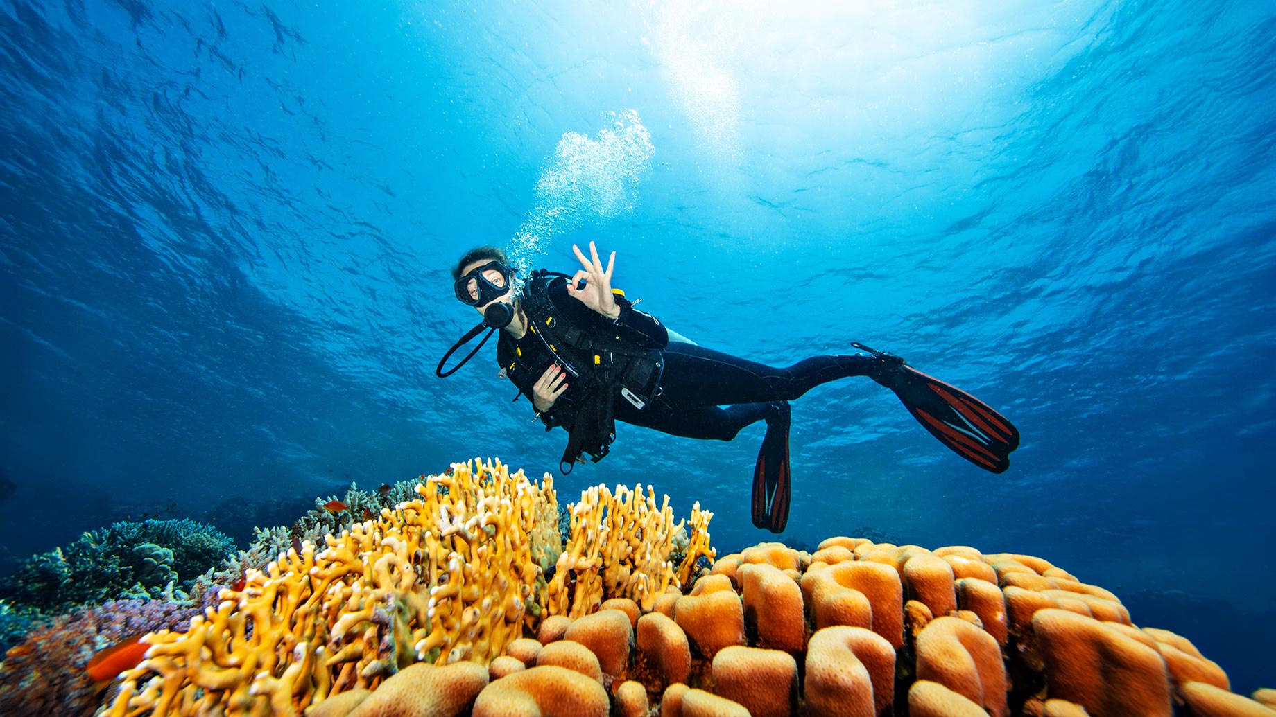 Woman Scuba Diver Exploring Sea Bottom Coral Reef in Marsa Alam, Egypt