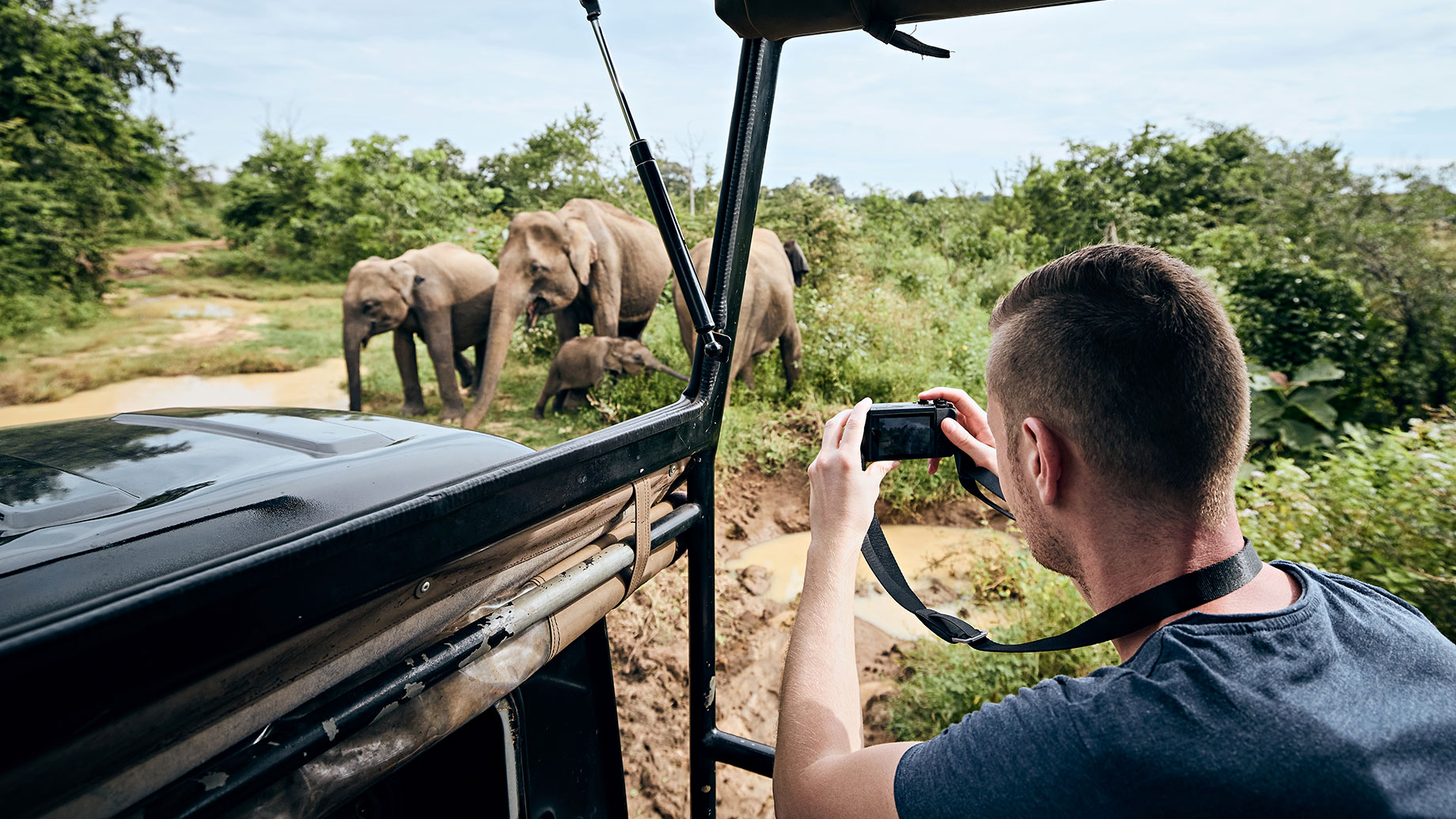 Taking Photos of Elephants on a Safari Ride