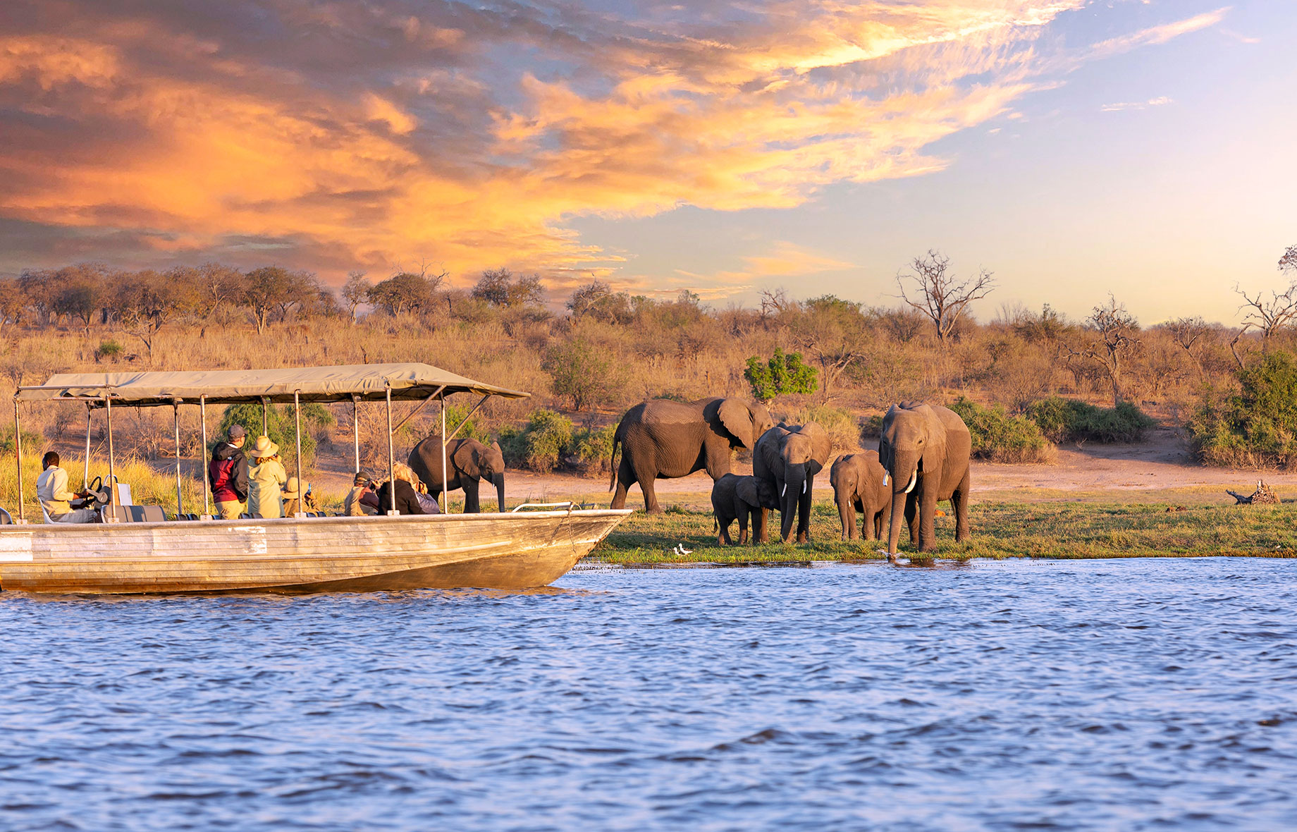 Tourists in a Boat Observe Elephants in Chobe National Park, Botswana