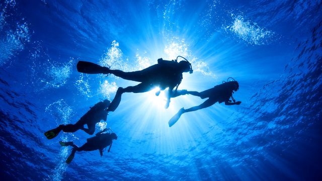 Four scuba divers viewed from below, silhouetted against sunlight filtering through blue water, with bubbles rising towards the surface.
