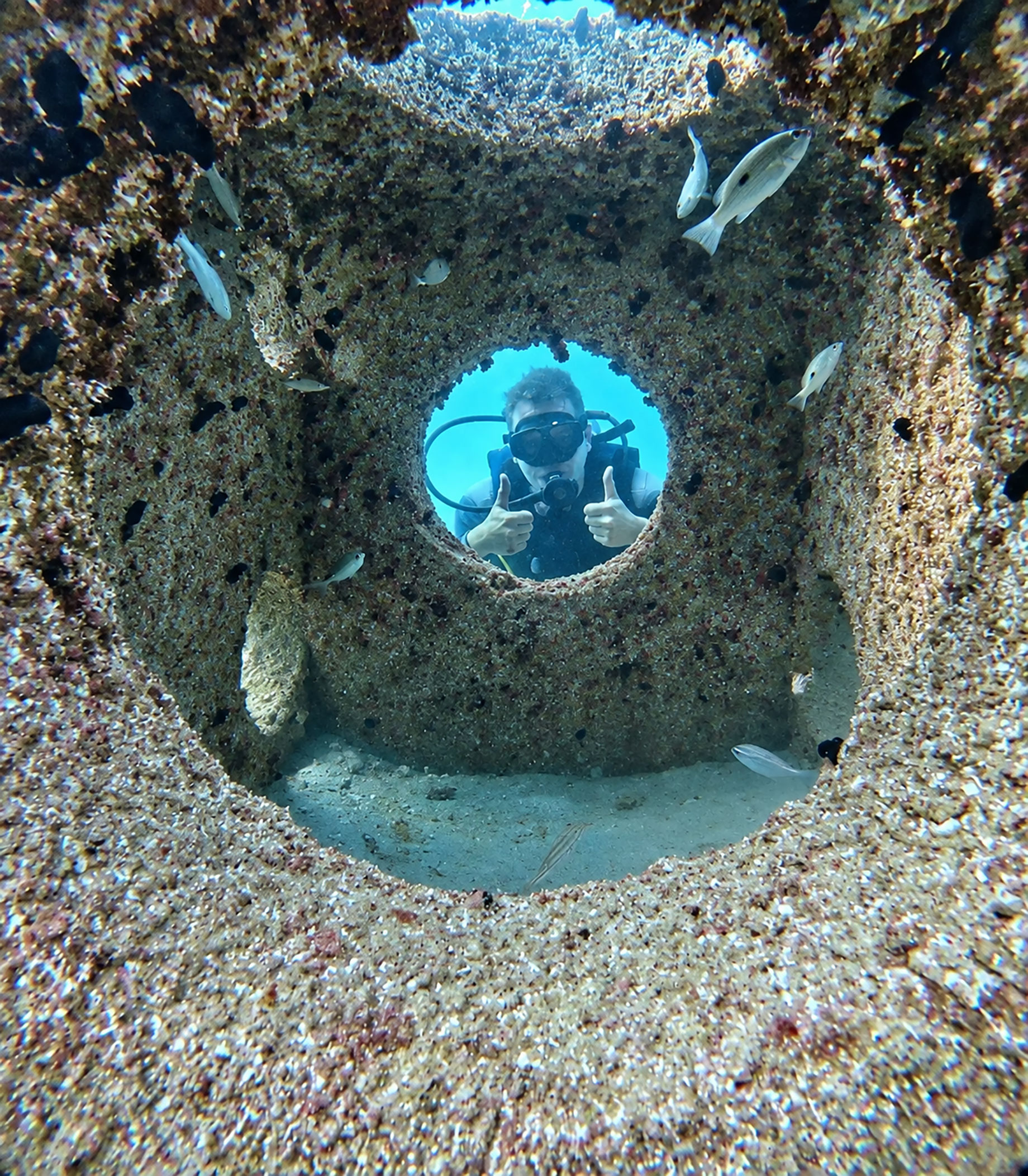 A scuba diver gives two thumbs up through a circular opening at the Old Cement Barge, with small silver fish swimming nearby.